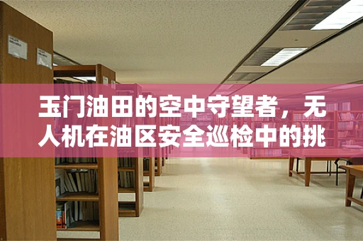 玉门油田的空中守望者，无人机在油区安全巡检中的挑战与应对