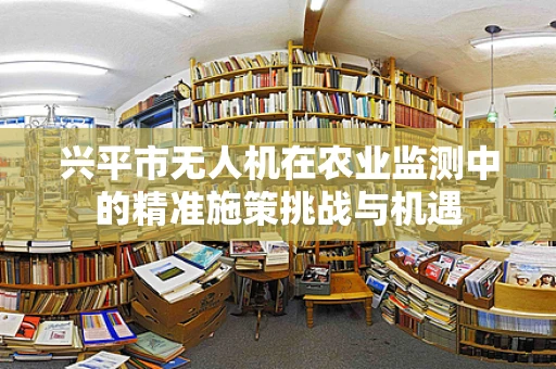兴平市无人机在农业监测中的精准施策挑战与机遇