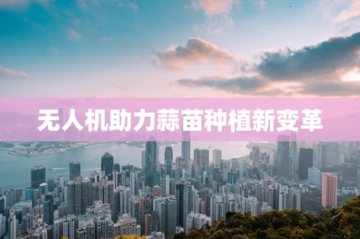 无人机助力蒜苗种植新变革