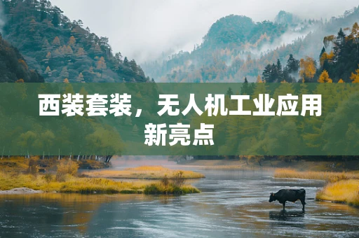 西装套装，无人机工业应用新亮点