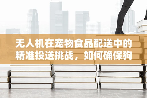 无人机在宠物食品配送中的精准投送挑战，如何确保狗粮的准确送达？