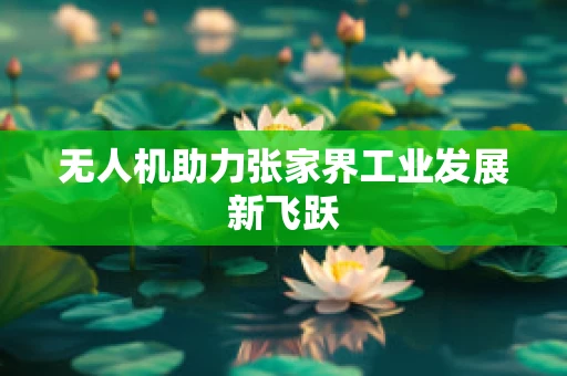 无人机助力张家界工业发展新飞跃