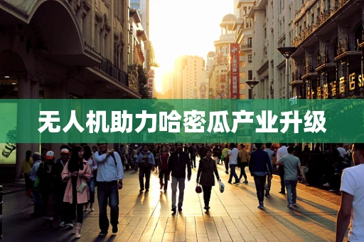 无人机助力哈密瓜产业升级