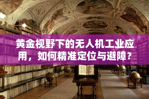 黄金视野下的无人机工业应用，如何精准定位与避障？