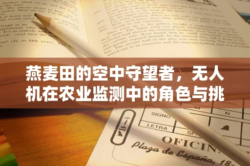 燕麦田的空中守望者，无人机在农业监测中的角色与挑战