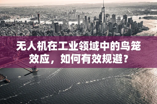 无人机在工业领域中的鸟笼效应，如何有效规避？