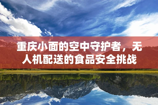 重庆小面的空中守护者，无人机配送的食品安全挑战