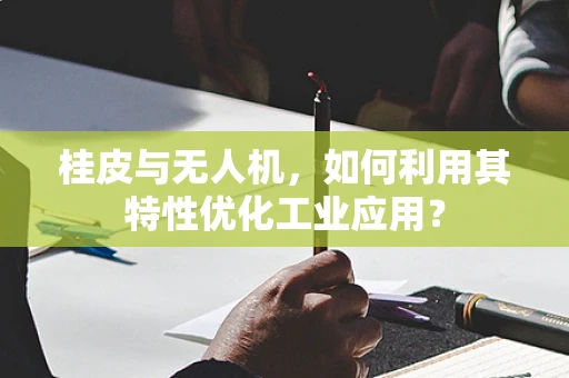 桂皮与无人机，如何利用其特性优化工业应用？