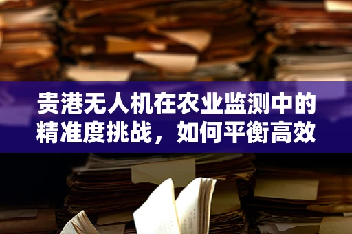贵港无人机在农业监测中的精准度挑战，如何平衡高效率与细节捕捉？