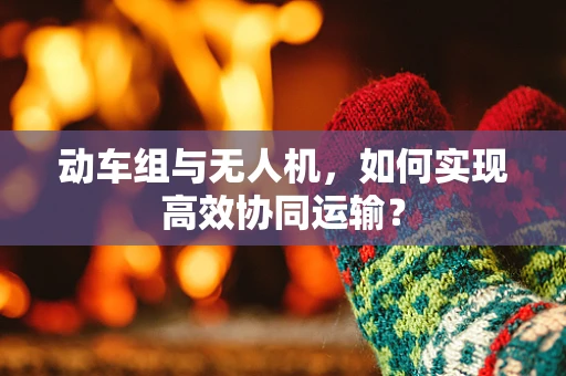 动车组与无人机，如何实现高效协同运输？