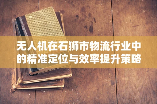 无人机在石狮市物流行业中的精准定位与效率提升策略