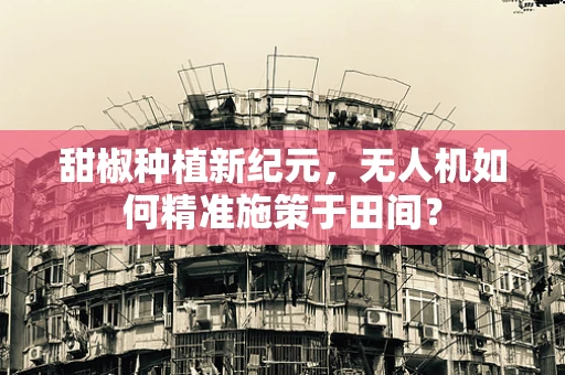 甜椒种植新纪元，无人机如何精准施策于田间？