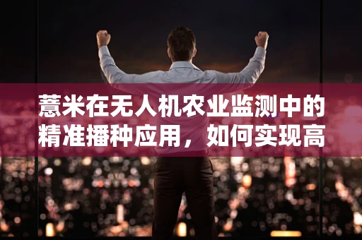 薏米在无人机农业监测中的精准播种应用，如何实现高效与精准的平衡？