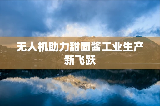 无人机助力甜面酱工业生产新飞跃