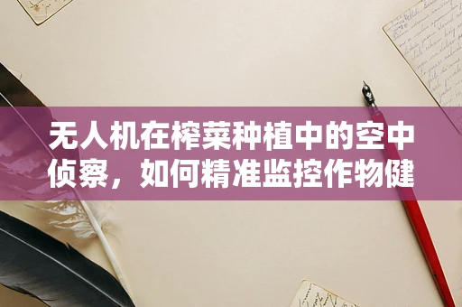 无人机在榨菜种植中的空中侦察，如何精准监控作物健康？