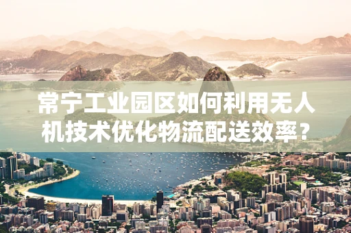 常宁工业园区如何利用无人机技术优化物流配送效率？