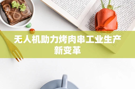 无人机助力烤肉串工业生产新变革