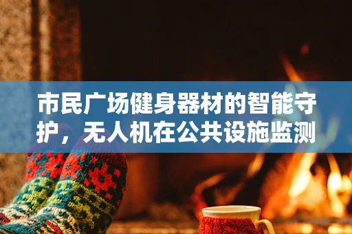市民广场健身器材的智能守护，无人机在公共设施监测中的应用挑战