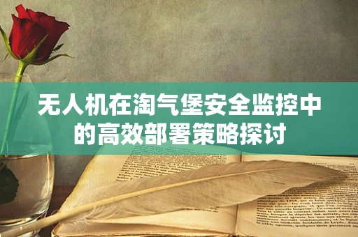 无人机在淘气堡安全监控中的高效部署策略探讨