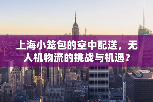上海小笼包的空中配送，无人机物流的挑战与机遇？