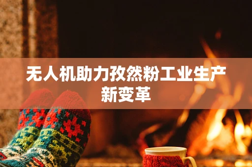 无人机助力孜然粉工业生产新变革