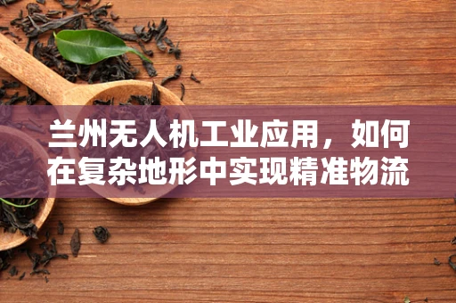 兰州无人机工业应用，如何在复杂地形中实现精准物流配送？