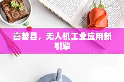 嘉善县，无人机工业应用新引擎