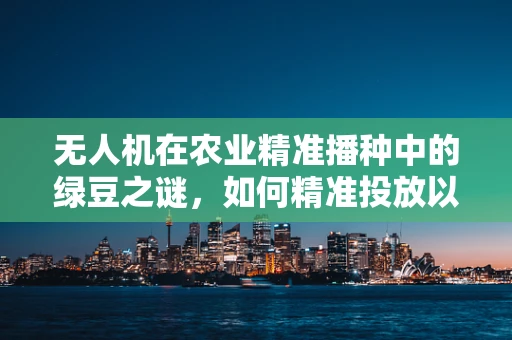 无人机在农业精准播种中的绿豆之谜，如何精准投放以优化种植效率？