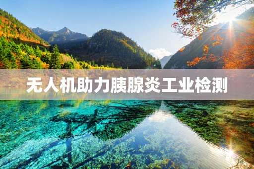 无人机助力胰腺炎工业检测