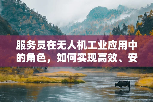 服务员在无人机工业应用中的角色，如何实现高效、安全的配送服务？