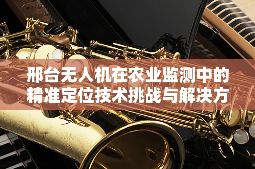 邢台无人机在农业监测中的精准定位技术挑战与解决方案