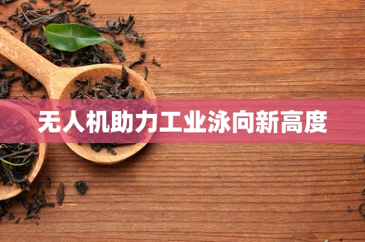 无人机助力工业泳向新高度