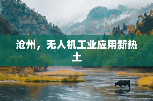 沧州，无人机工业应用新热土