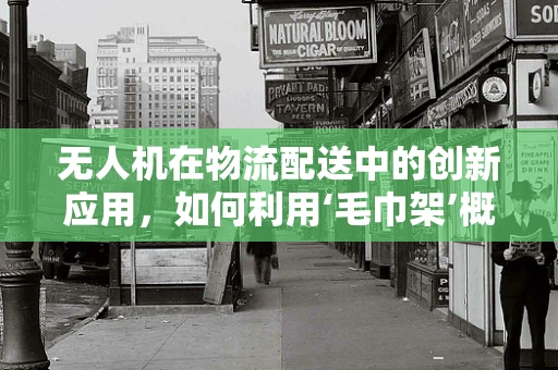 无人机在物流配送中的创新应用，如何利用‘毛巾架’概念优化货物固定？