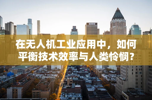 在无人机工业应用中，如何平衡技术效率与人类怜悯？
