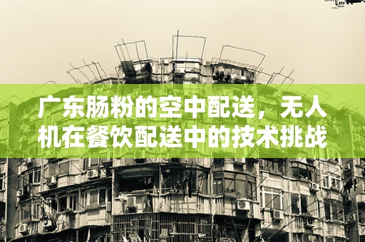 广东肠粉的空中配送，无人机在餐饮配送中的技术挑战与解决方案？