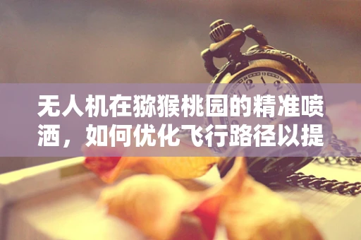 无人机在猕猴桃园的精准喷洒，如何优化飞行路径以提升效率？