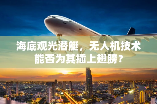 海底观光潜艇，无人机技术能否为其插上翅膀？