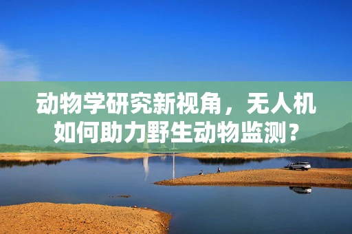 动物学研究新视角，无人机如何助力野生动物监测？