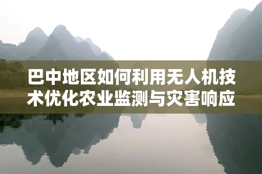巴中地区如何利用无人机技术优化农业监测与灾害响应？