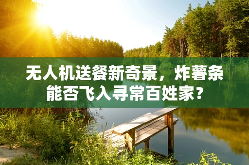 无人机送餐新奇景，炸薯条能否飞入寻常百姓家？