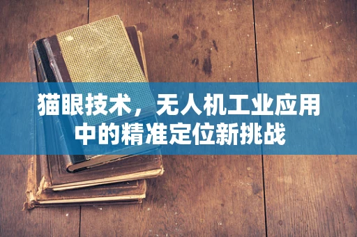 猫眼技术，无人机工业应用中的精准定位新挑战