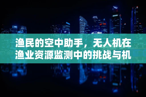 渔民的空中助手，无人机在渔业资源监测中的挑战与机遇
