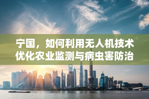 宁国，如何利用无人机技术优化农业监测与病虫害防治？