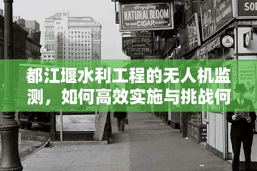 都江堰水利工程的无人机监测，如何高效实施与挑战何在？