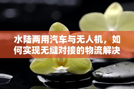 水陆两用汽车与无人机，如何实现无缝对接的物流解决方案？