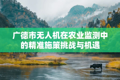 广德市无人机在农业监测中的精准施策挑战与机遇