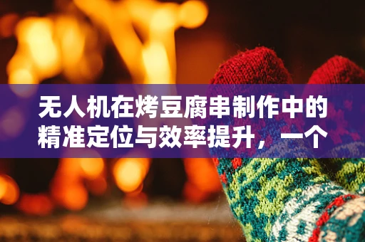无人机在烤豆腐串制作中的精准定位与效率提升，一个技术难题的探索