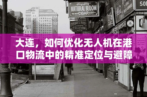 大连，如何优化无人机在港口物流中的精准定位与避障技术？