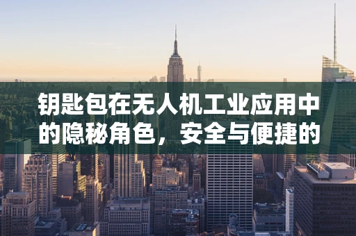 钥匙包在无人机工业应用中的隐秘角色，安全与便捷的双重考量